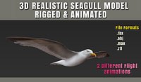 HIGH DETAILED SEAGULL 3D MODEL  FULLY RIGGED & ANIMATED