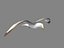 HIGH DETAILED SEAGULL 3D MODEL  FULLY RIGGED & ANIMATED