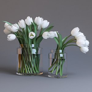 3D tulips white