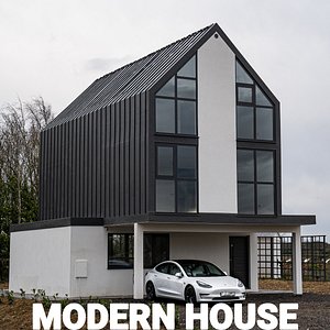 Modern House