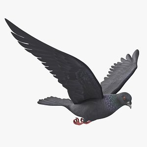 Lowpoly Black Dove in Flight 3D