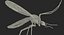 mosquito flies fur 3d max