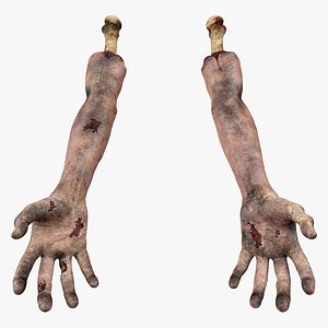 Bloody Zombie Arms