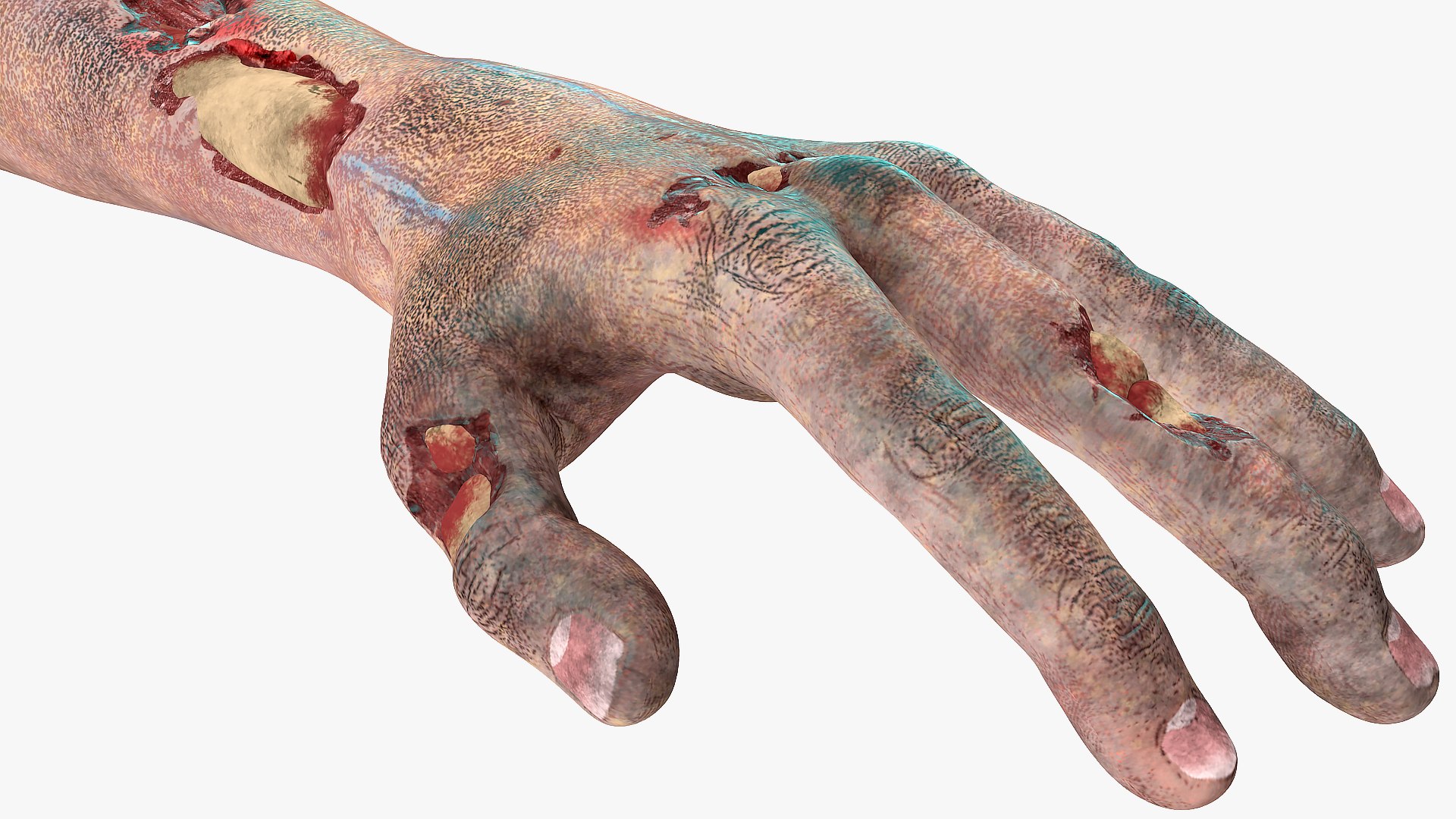 3D bloody zombie arms model https://p.turbosquid.com/ts-thumb/8X/rWaQGy/JJYLsxdX/bloodyzombiearmsmb3dmodel006/jpg/1567628492/1920x1080/fit_q87/eda4339f0e9d3f31a82cb89d03ef025d79ef01b8/bloodyzombiearmsmb3dmodel006.jpg