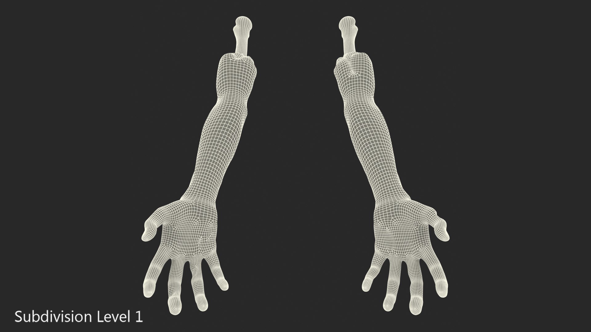 3D bloody zombie arms model https://p.turbosquid.com/ts-thumb/8X/rWaQGy/YschBP1L/bloodyzombiearmsmb3dmodel010/jpg/1567628515/1920x1080/fit_q87/d6bfbe40d706d97a3e6847b630f7e64fe447bf26/bloodyzombiearmsmb3dmodel010.jpg