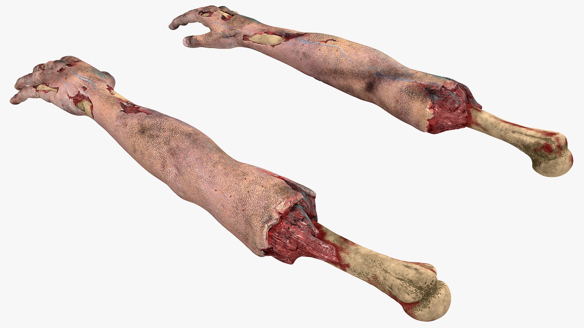 3D bloody zombie arms model https://p.turbosquid.com/ts-thumb/8X/rWaQGy/gYtIxeBD/bloodyzombiearmsmb3dmodel004/jpg/1567628482/1920x1080/fit_q87/9edc4ee8393ffa9c09d5609a7746b4530b17e021/bloodyzombiearmsmb3dmodel004.jpg