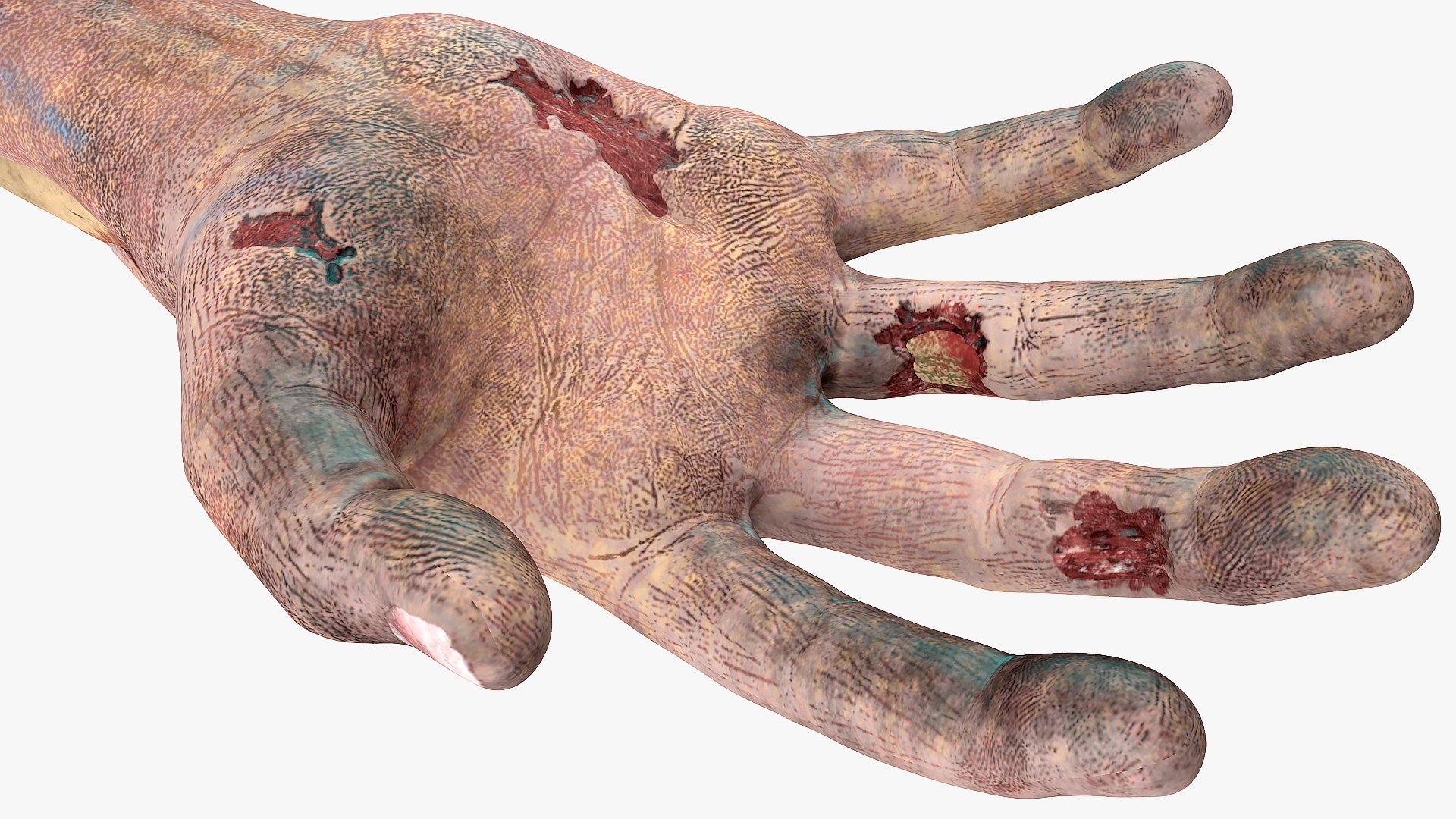 3D bloody zombie arms model https://p.turbosquid.com/ts-thumb/8X/rWaQGy/zaML8JUR/bloodyzombiearmsmb3dmodel007/jpg/1567628500/1920x1080/fit_q87/469e91b38885c8309926736dd310f6f2bad1936a/bloodyzombiearmsmb3dmodel007.jpg