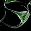 Dinoflagellate Ceratium Longpipe