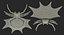 Spiny Orb Weaver Spider with Fur 3D Model