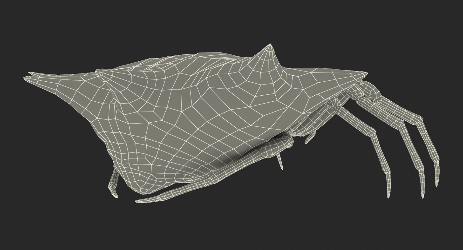 3D spiny orb weaver spider https://p.turbosquid.com/ts-thumb/8X/tuv9Ss/CJnsGI39/spinyorbweaverspiderwithfur3dsmodel016/jpg/1498019661/1920x1080/fit_q87/9282186d0f52692eebbb86c151230e37d68ffd11/spinyorbweaverspiderwithfur3dsmodel016.jpg
