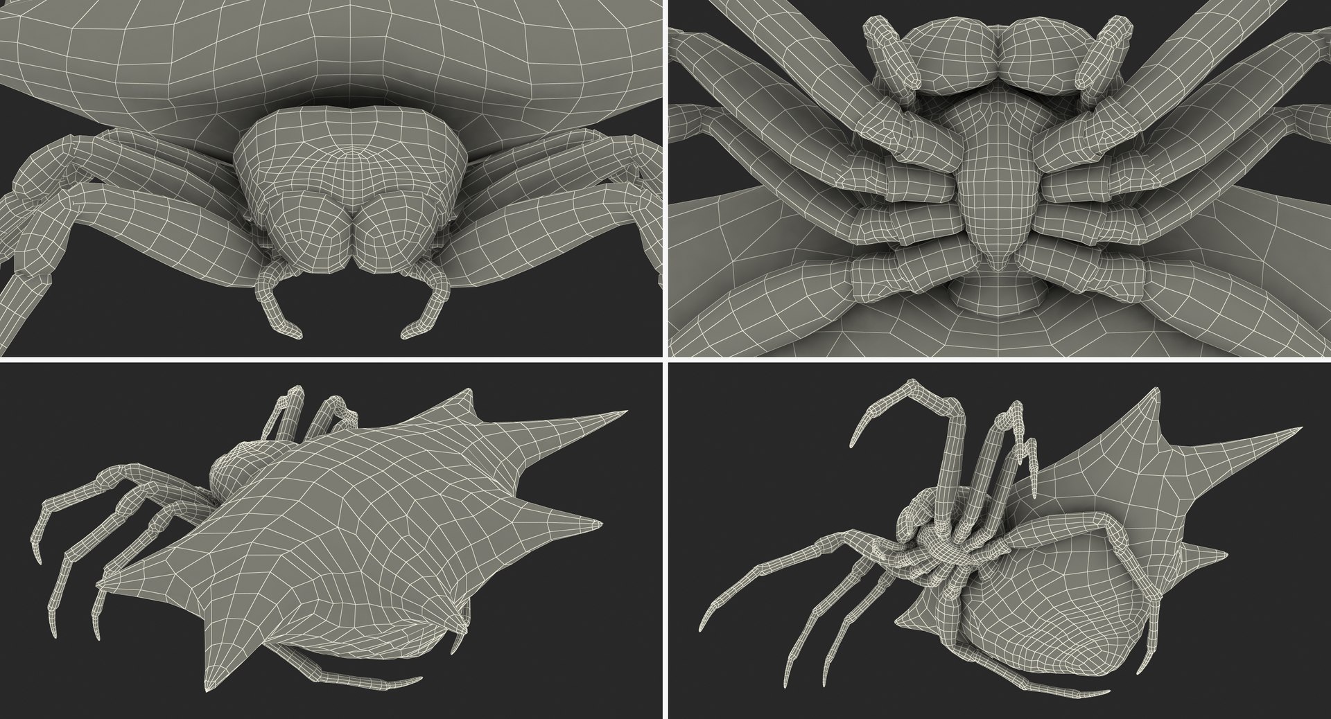 3D spiny orb weaver spider https://p.turbosquid.com/ts-thumb/8X/tuv9Ss/CiyC4WOn/spinyorbweaverspiderwithfur3dsmodel019/jpg/1498019662/1920x1080/fit_q87/73bf373158cef68b0bcb0924812b9a4bebfee046/spinyorbweaverspiderwithfur3dsmodel019.jpg