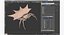 Spiny Orb Weaver Spider with Fur 3D Model