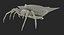 Spiny Orb Weaver Spider with Fur 3D Model