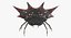 Spiny Orb Weaver Spider with Fur 3D Model