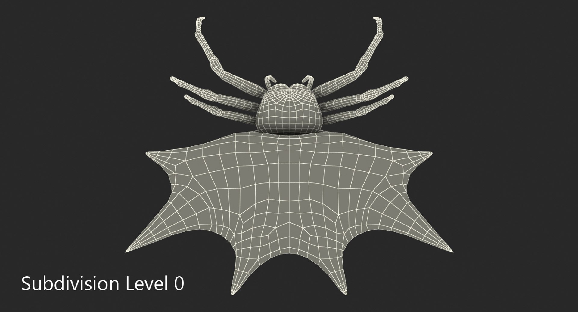3D Spiny Orb Weaver Spider - TurboSquid 1170063