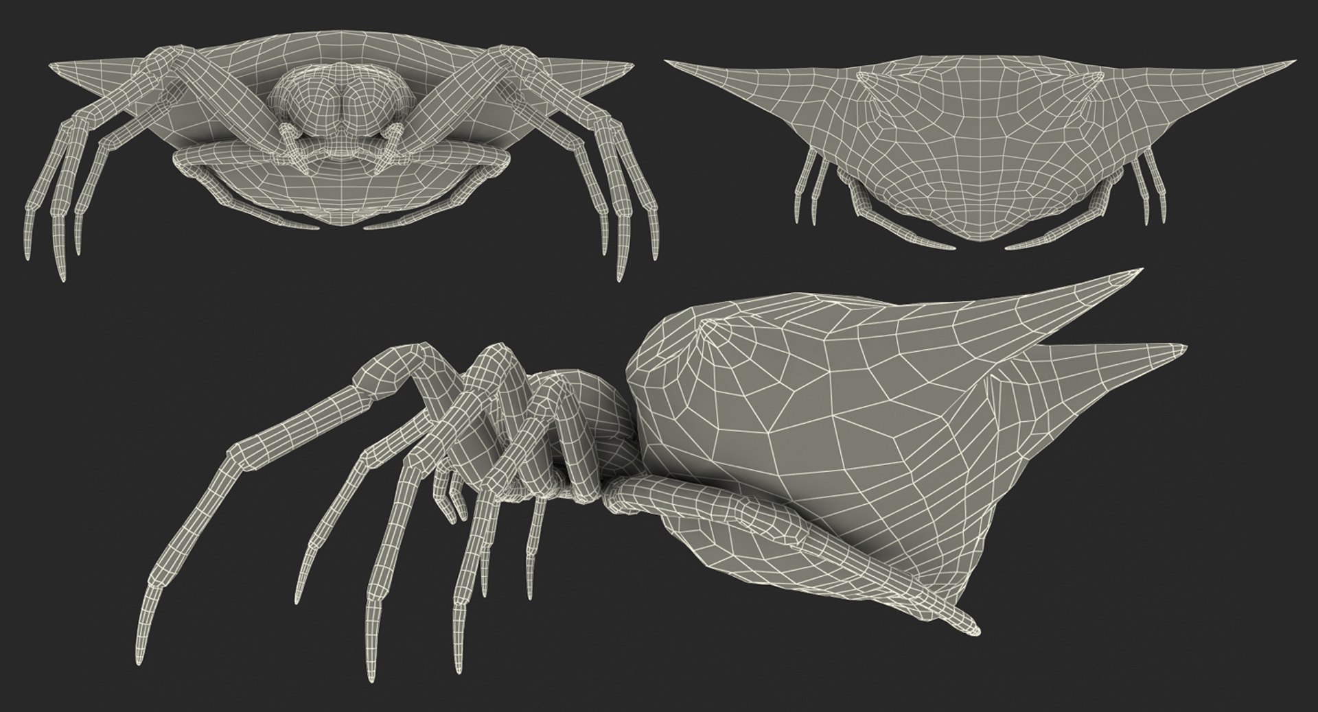 3D spiny orb weaver spider https://p.turbosquid.com/ts-thumb/8X/tuv9Ss/nsQVlAH8/spinyorbweaverspiderwithfur3dsmodel017/jpg/1498019661/1920x1080/fit_q87/5d60b1309bfbd7274673e2999817e56a1df74f60/spinyorbweaverspiderwithfur3dsmodel017.jpg