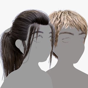 3D Girl and Boy Hair Collection model