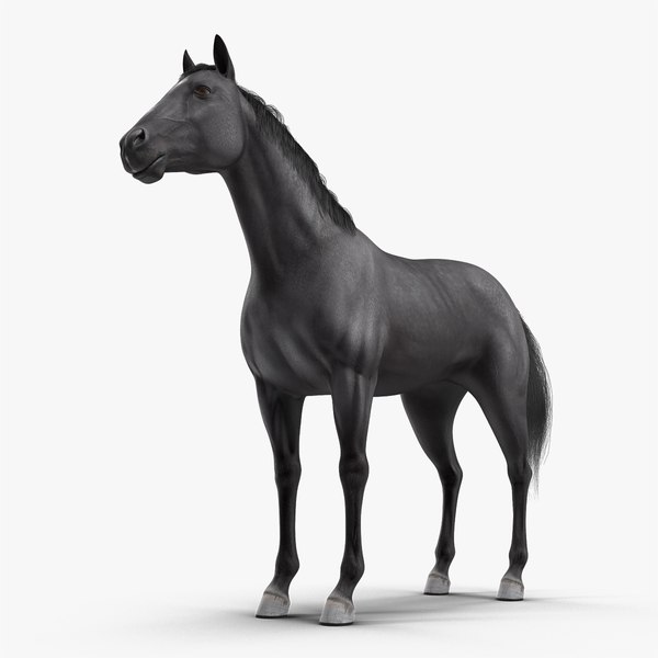 3D black horse fur model