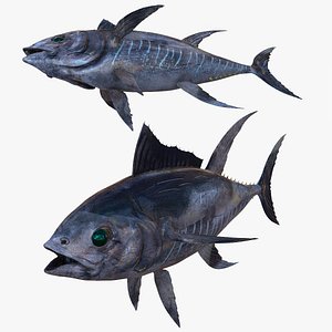 TUNA FISH RIVER OCEAN SEA