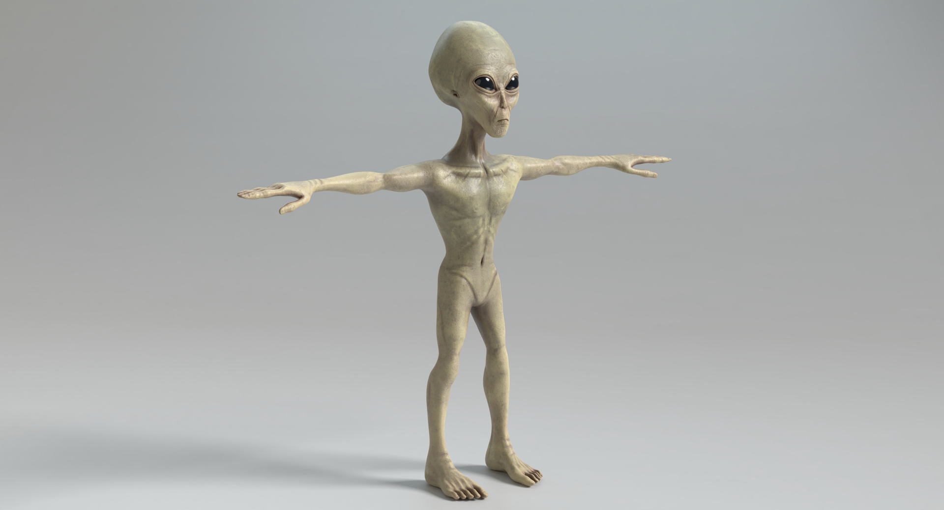 Alien pbr polys 3D model - TurboSquid 1332316