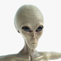 Grey Alien