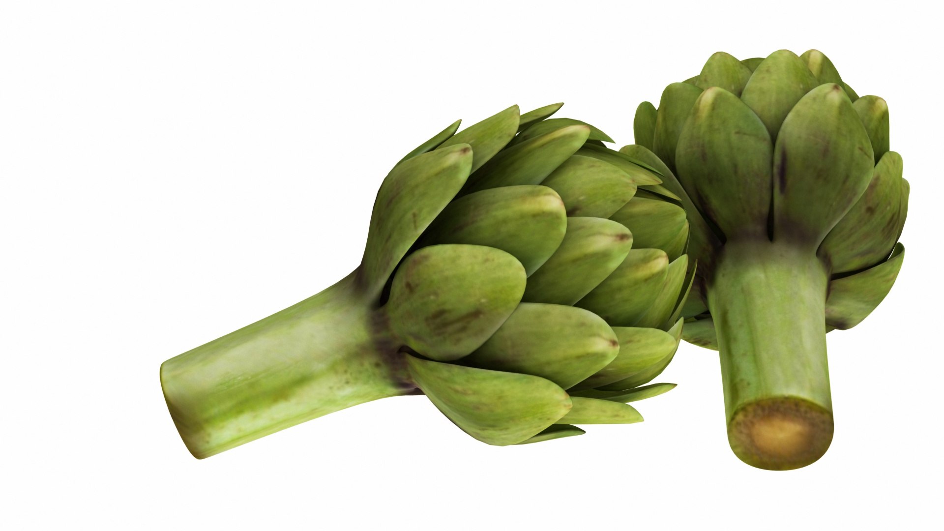 3D model artichoke https://p.turbosquid.com/ts-thumb/8Y/IC9rxa/1afSHQh7/0artichoke3/jpg/1588692223/1920x1080/fit_q87/fad884024974757bb0382b4992ca2ea555db7b38/0artichoke3.jpg