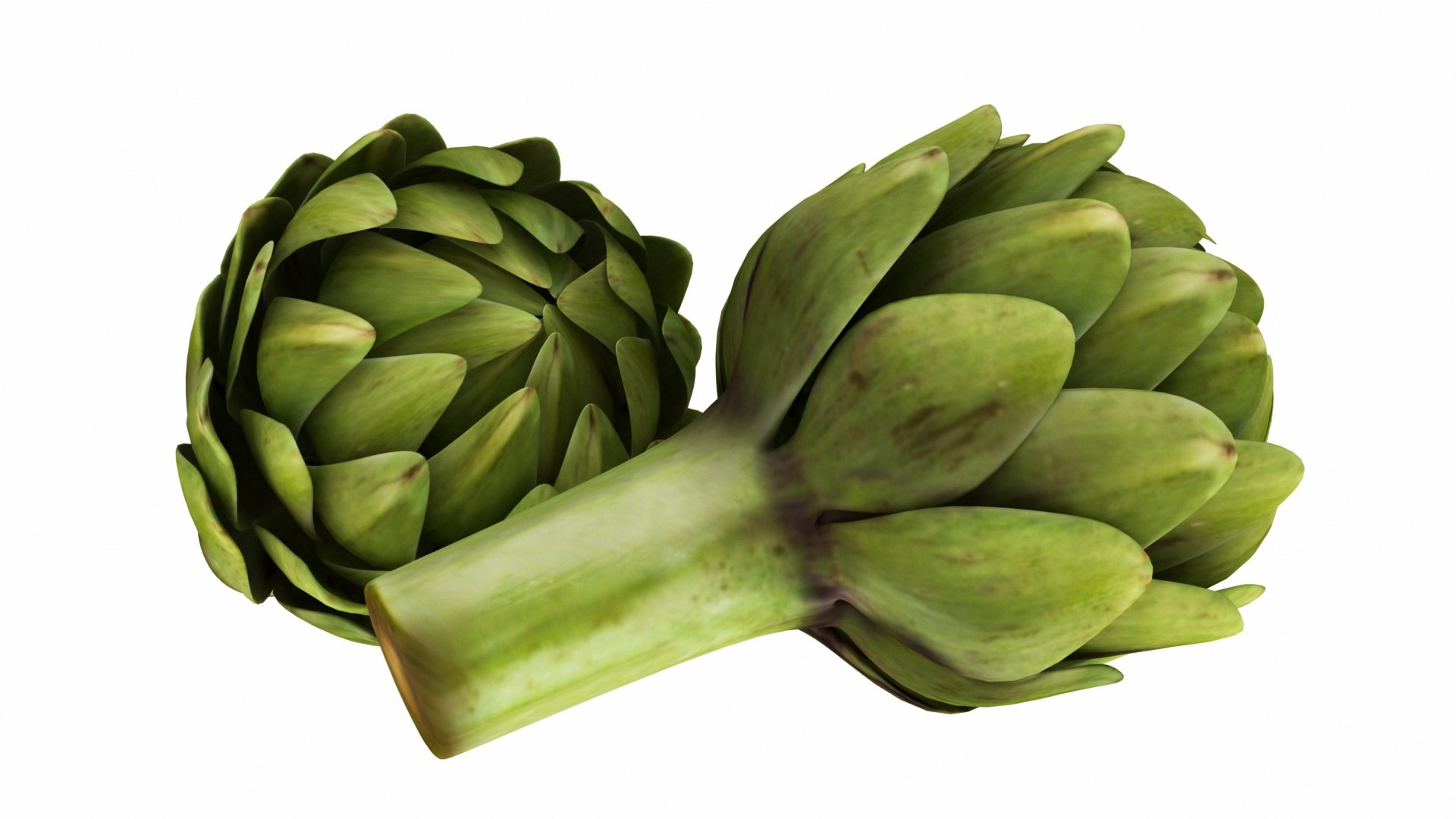 3D model artichoke https://p.turbosquid.com/ts-thumb/8Y/IC9rxa/HweOoSGx/0artichoke6/jpg/1588692223/1920x1080/fit_q87/29adbd8fbbdfd0dd8b1866e6eed43858603d104f/0artichoke6.jpg