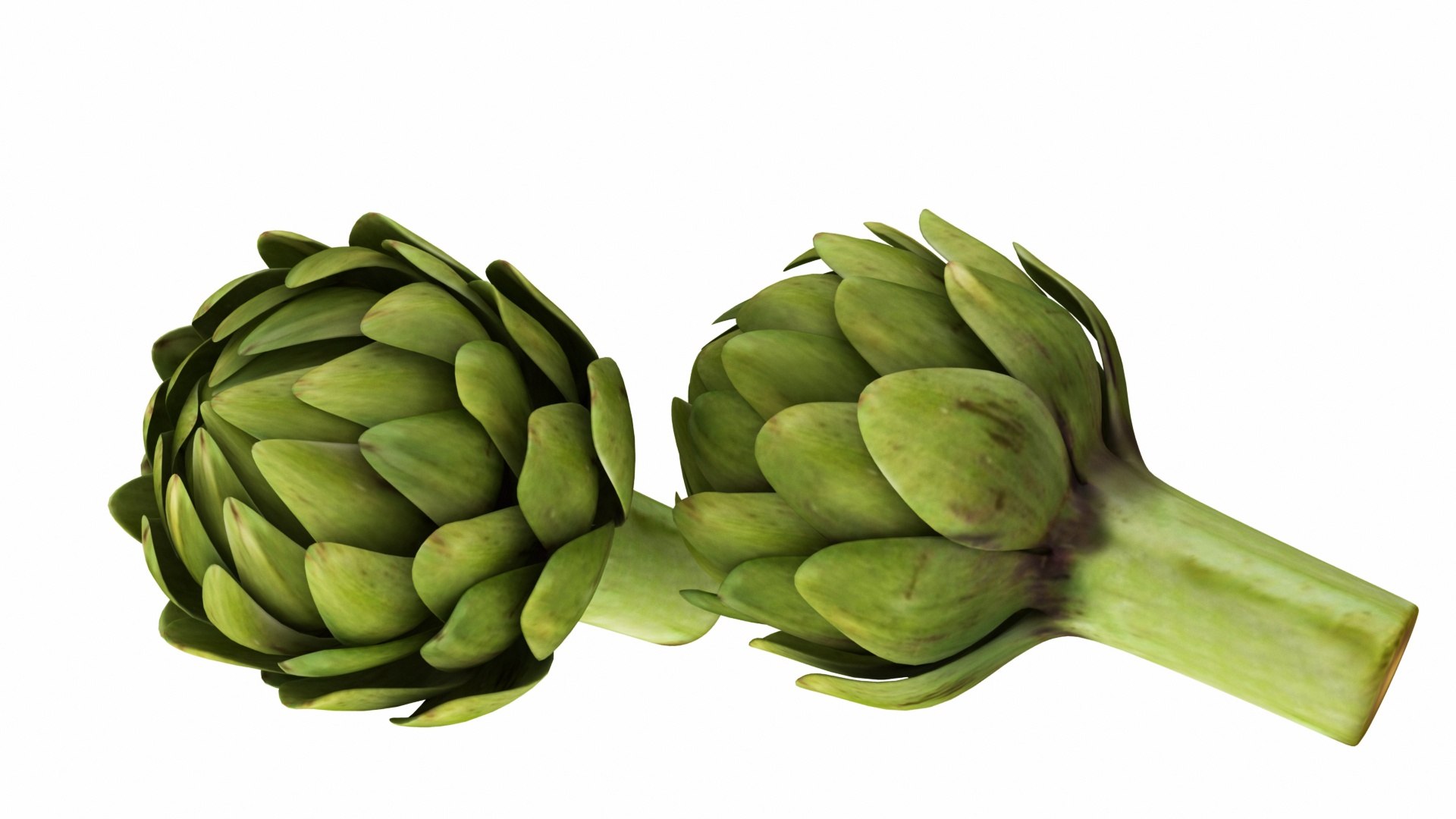 3D model artichoke https://p.turbosquid.com/ts-thumb/8Y/IC9rxa/Wo8VKRmI/0artichoke5/jpg/1588692223/1920x1080/fit_q87/94ebd971f9a0f37de6dec54f3b67737b6c8b15b7/0artichoke5.jpg