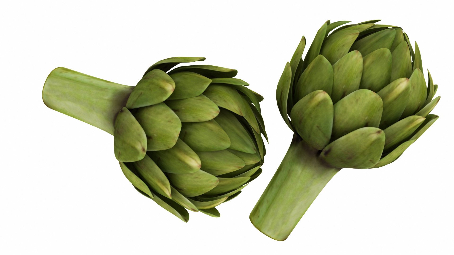 3D model artichoke https://p.turbosquid.com/ts-thumb/8Y/IC9rxa/uNpmrmep/0artichoke4/jpg/1588692223/1920x1080/fit_q87/8e172c18abc9ba835c68e29183b2b212a248a239/0artichoke4.jpg