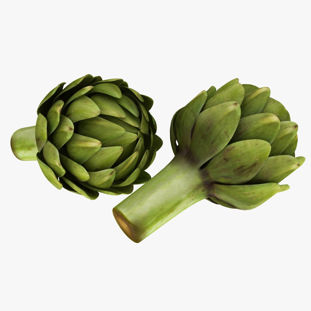 3D Model Artichoke - TurboSquid 1553963