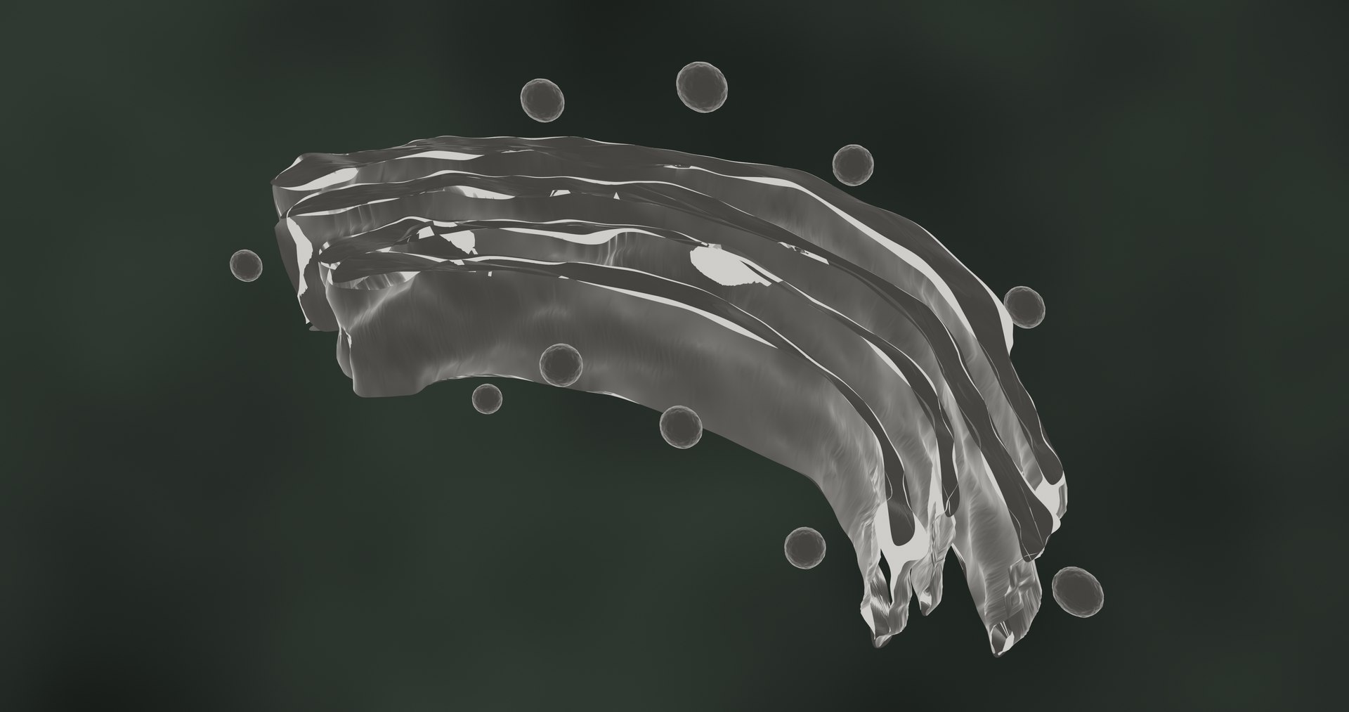 3D golgi apparatus https://p.turbosquid.com/ts-thumb/8Y/KH5t0J/6C/golgibody20001/jpg/1609227048/1920x1080/fit_q87/0e3f8c287718f292537aacca3b189c988e867b8d/golgibody20001.jpg