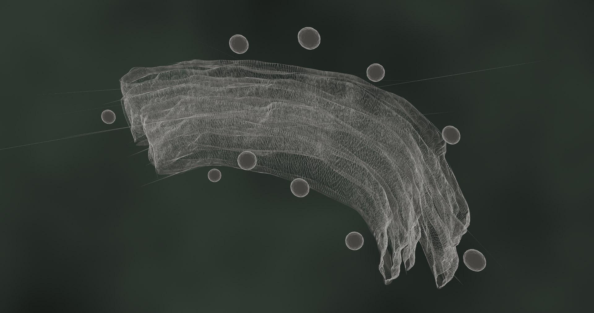 3D golgi apparatus https://p.turbosquid.com/ts-thumb/8Y/KH5t0J/X8/golgibodywire0001/jpg/1609227065/1920x1080/fit_q87/df6414b9b53fc4b45c07cfbd8e88cd4a74ba48aa/golgibodywire0001.jpg