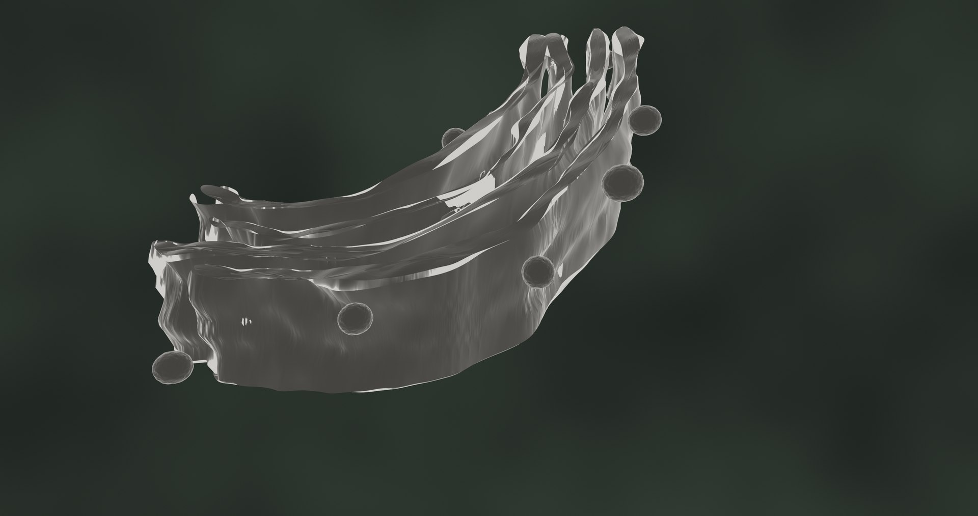 3D golgi apparatus https://p.turbosquid.com/ts-thumb/8Y/KH5t0J/q9/golgibody40001/jpg/1609227085/1920x1080/fit_q87/31cce96c21f2e7191a439acb2ae066d673f678d2/golgibody40001.jpg