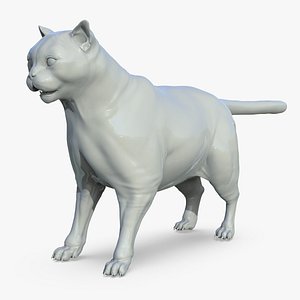 3D Himalayan Persian Cat