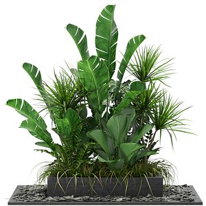 plants 370 model