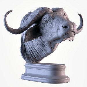 3D model Buffalo African Head