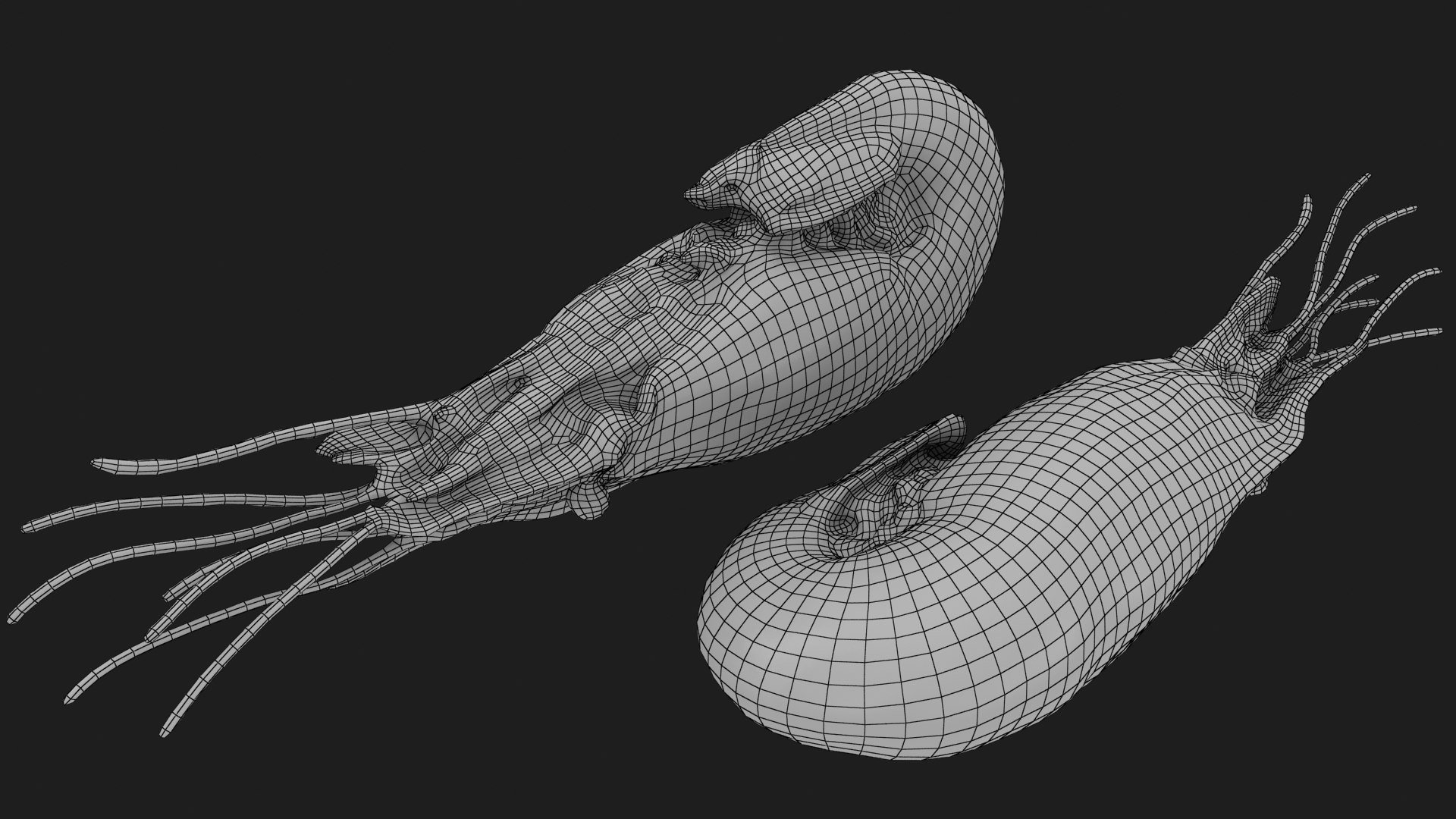 3D Shrimp(1) https://p.turbosquid.com/ts-thumb/8Y/ewkj4M/1E/shrimp_f0003/jpg/1691356443/1920x1080/fit_q87/1cfc804247943b96ca6fde3f169f7fb64e1702a4/shrimp_f0003.jpg