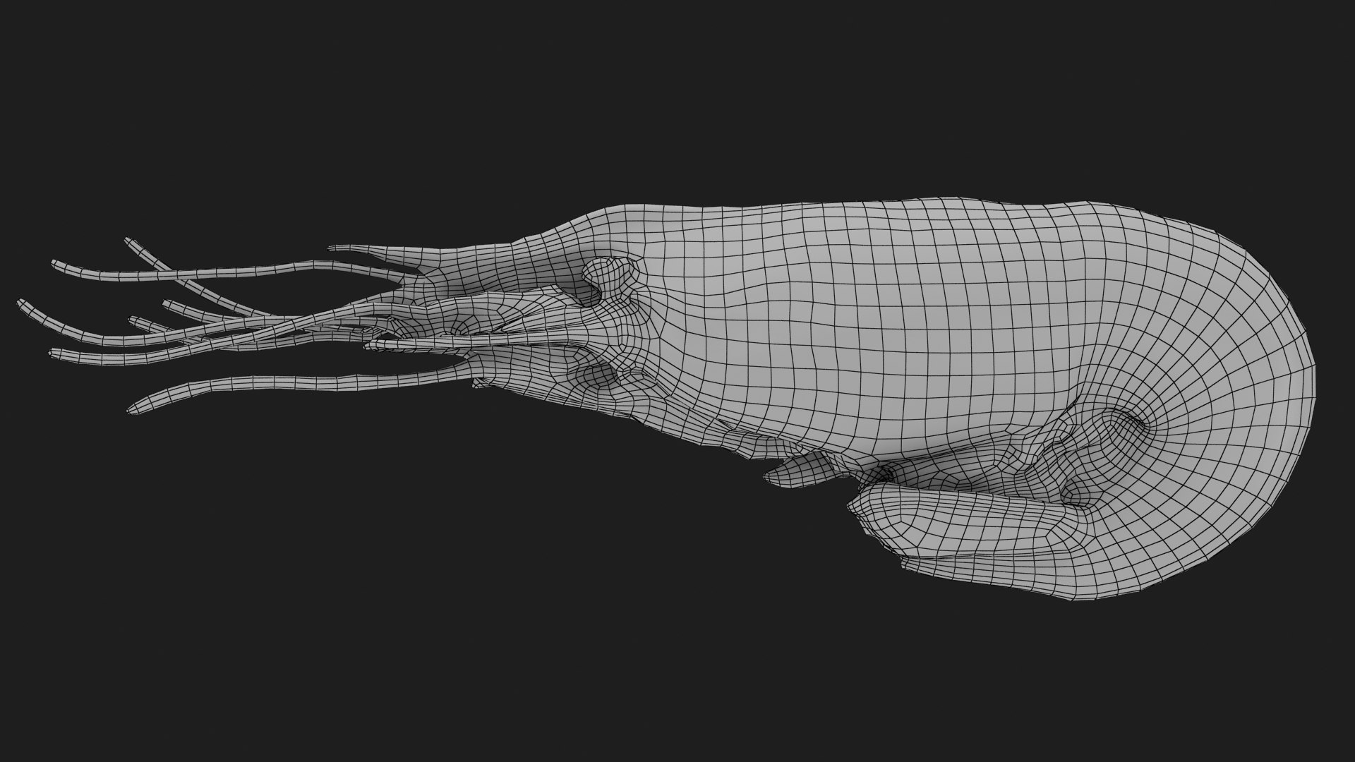 3D Shrimp(1) https://p.turbosquid.com/ts-thumb/8Y/ewkj4M/DJ/shrimp_f0006/jpg/1691356445/1920x1080/fit_q87/f1b49ec047982dc0ea4319f18c9afe344c9d5cf3/shrimp_f0006.jpg