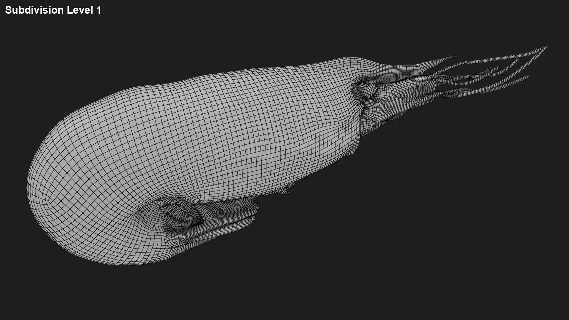 3D Shrimp(1) https://p.turbosquid.com/ts-thumb/8Y/ewkj4M/Je/shrimp_f0002/jpg/1691356442/1920x1080/fit_q87/5d0e7f69c7d9cab78ff3323fff54379a9056d966/shrimp_f0002.jpg