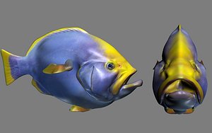 funny fish 3d model
