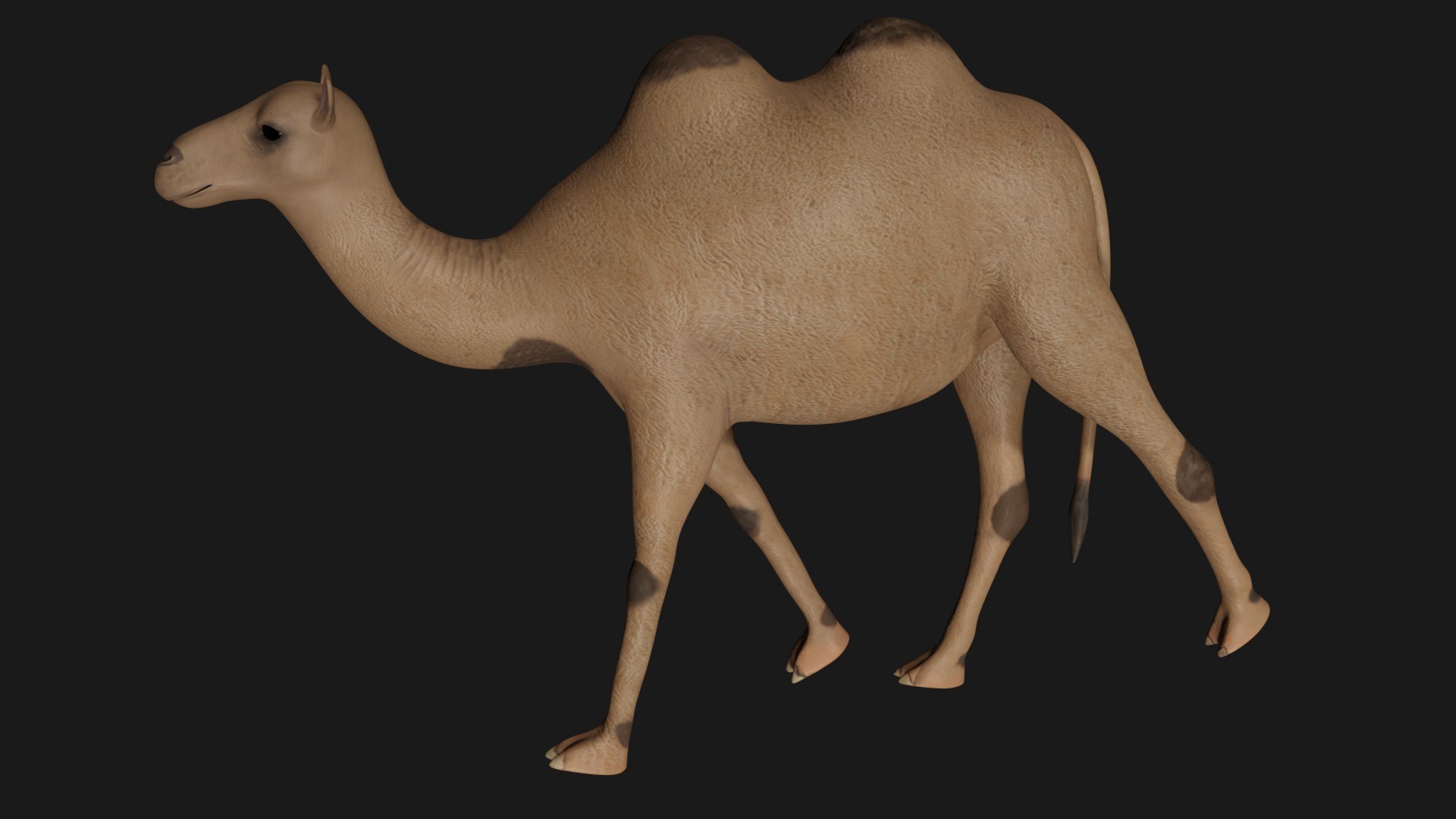 3D model camel statue https://p.turbosquid.com/ts-thumb/8Z/09FvtC/RC/b5/jpg/1609580314/1920x1080/fit_q87/bd1b9c42942d704b3741de82b671affa8c853495/b5.jpg
