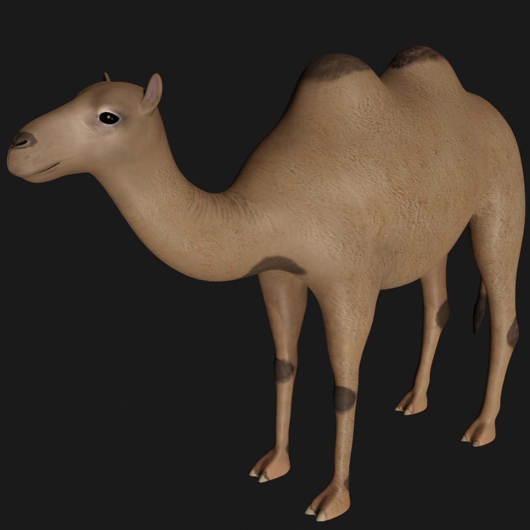 3D model camel statue https://p.turbosquid.com/ts-thumb/8Z/09FvtC/Xm/b1/jpg/1609580283/1920x1080/fit_q87/da7e6081ccae5e95cbe92d93d8629eb6769d2eb5/b1.jpg