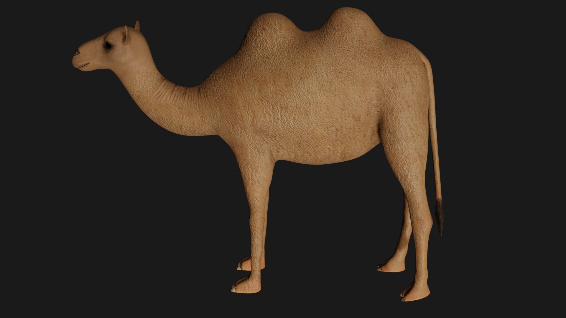 3D model camel statue https://p.turbosquid.com/ts-thumb/8Z/09FvtC/ZJ/c7/jpg/1609580334/1920x1080/fit_q87/593e0fe17d1f4f6951ba18f1aca3badac8182367/c7.jpg