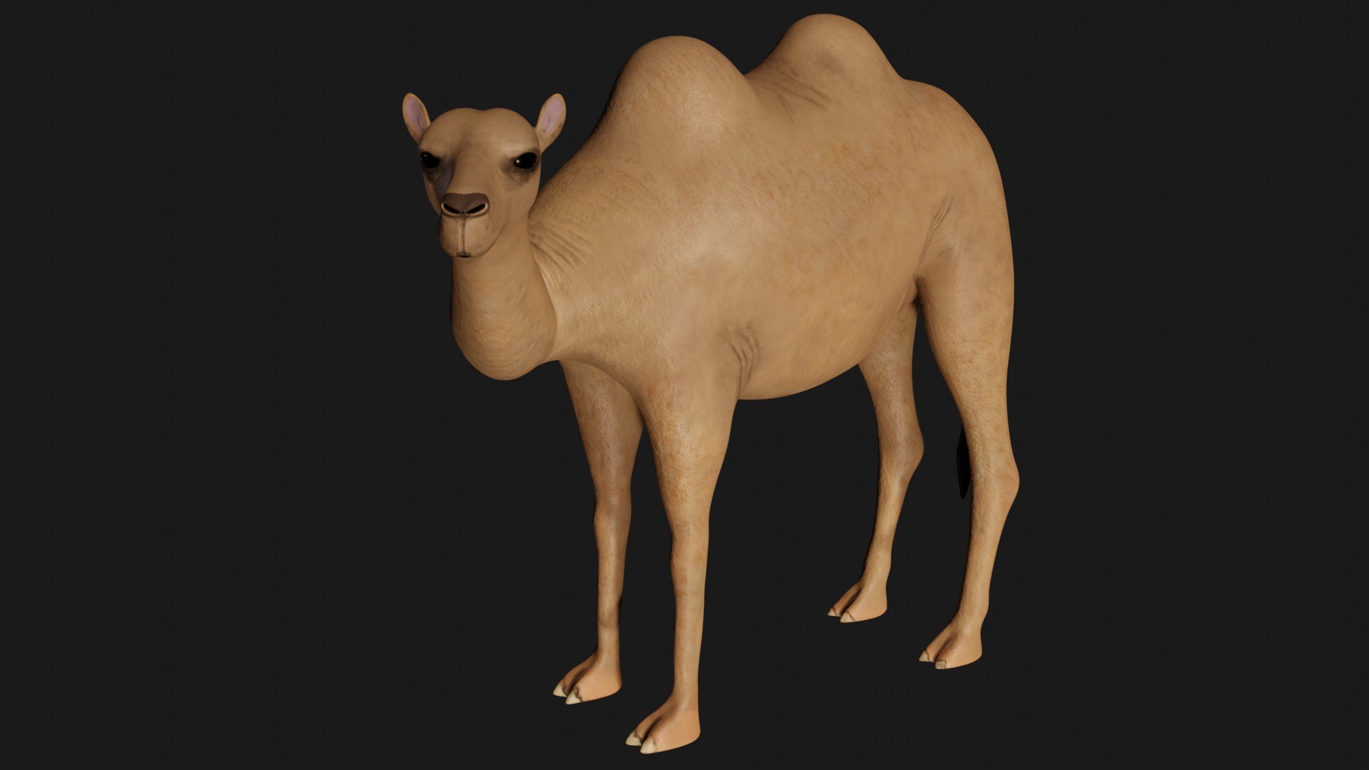 3D model camel statue https://p.turbosquid.com/ts-thumb/8Z/09FvtC/ep/a3/jpg/1609580275/1920x1080/fit_q87/27c7246950917e365d28d9f182e38554445ad4fa/a3.jpg