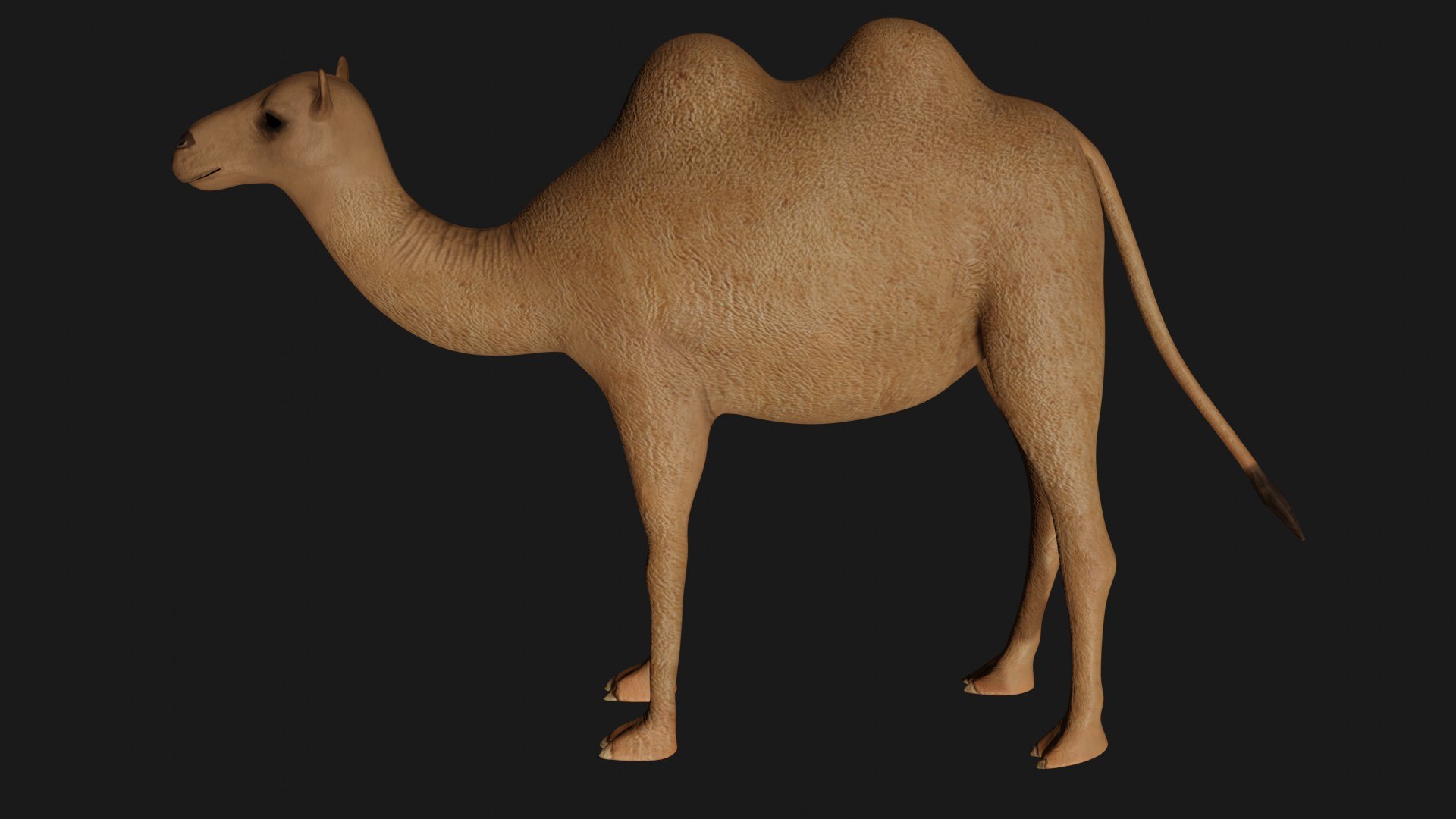3D model camel statue https://p.turbosquid.com/ts-thumb/8Z/09FvtC/jW/c6/jpg/1609580333/1920x1080/fit_q87/29f4b6d0761ea152f3121bde8a05f52887ae992d/c6.jpg