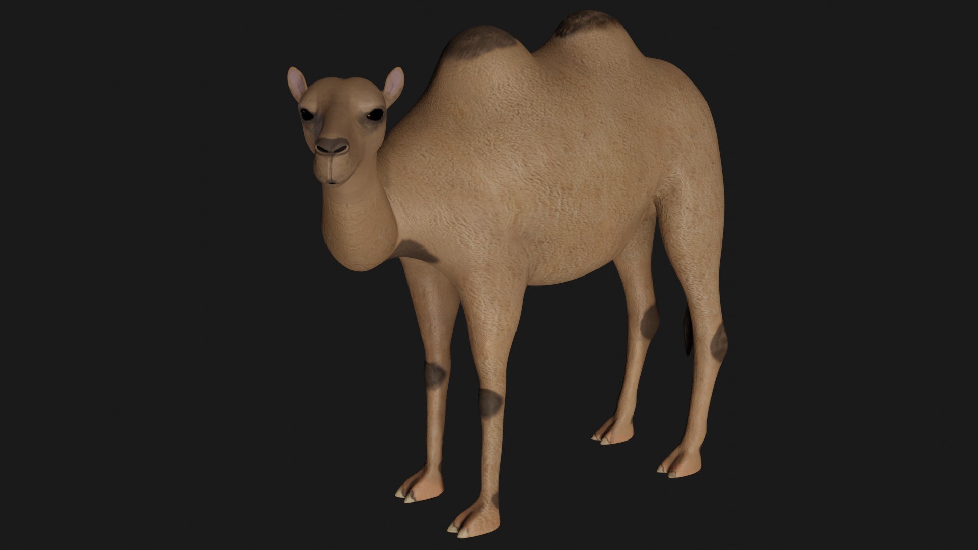 3D model camel statue https://p.turbosquid.com/ts-thumb/8Z/09FvtC/qg/b3/jpg/1609580329/1920x1080/fit_q87/a6be4034484618707828fa074b37ba2bfcea620f/b3.jpg