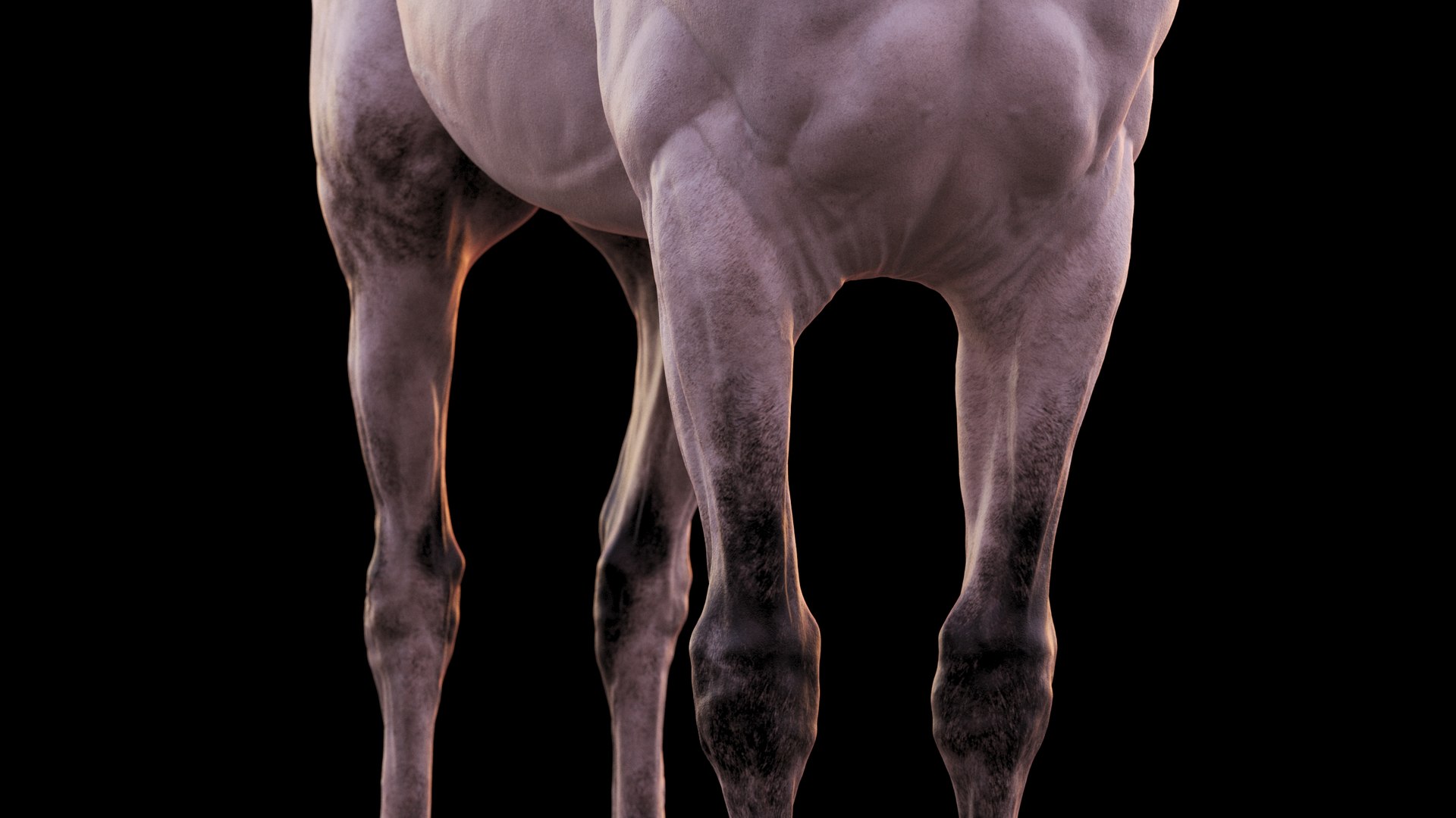 Horse 3 colors ZBrush model https://p.turbosquid.com/ts-thumb/8Z/1pxsgu/04/11121/jpg/1655411829/1920x1080/fit_q87/cfa4c907c359194aff5986f0777b8f77dcd8c3f7/11121.jpg