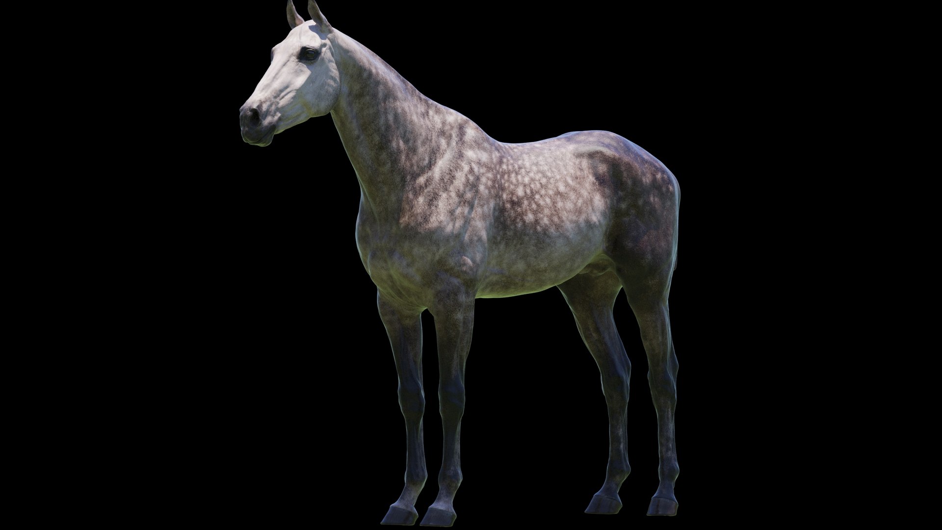 Horse 3 colors ZBrush model https://p.turbosquid.com/ts-thumb/8Z/1pxsgu/0g/q12/jpg/1655411681/1920x1080/fit_q87/57e5e71032f16630447771fa823c27aca126d926/q12.jpg