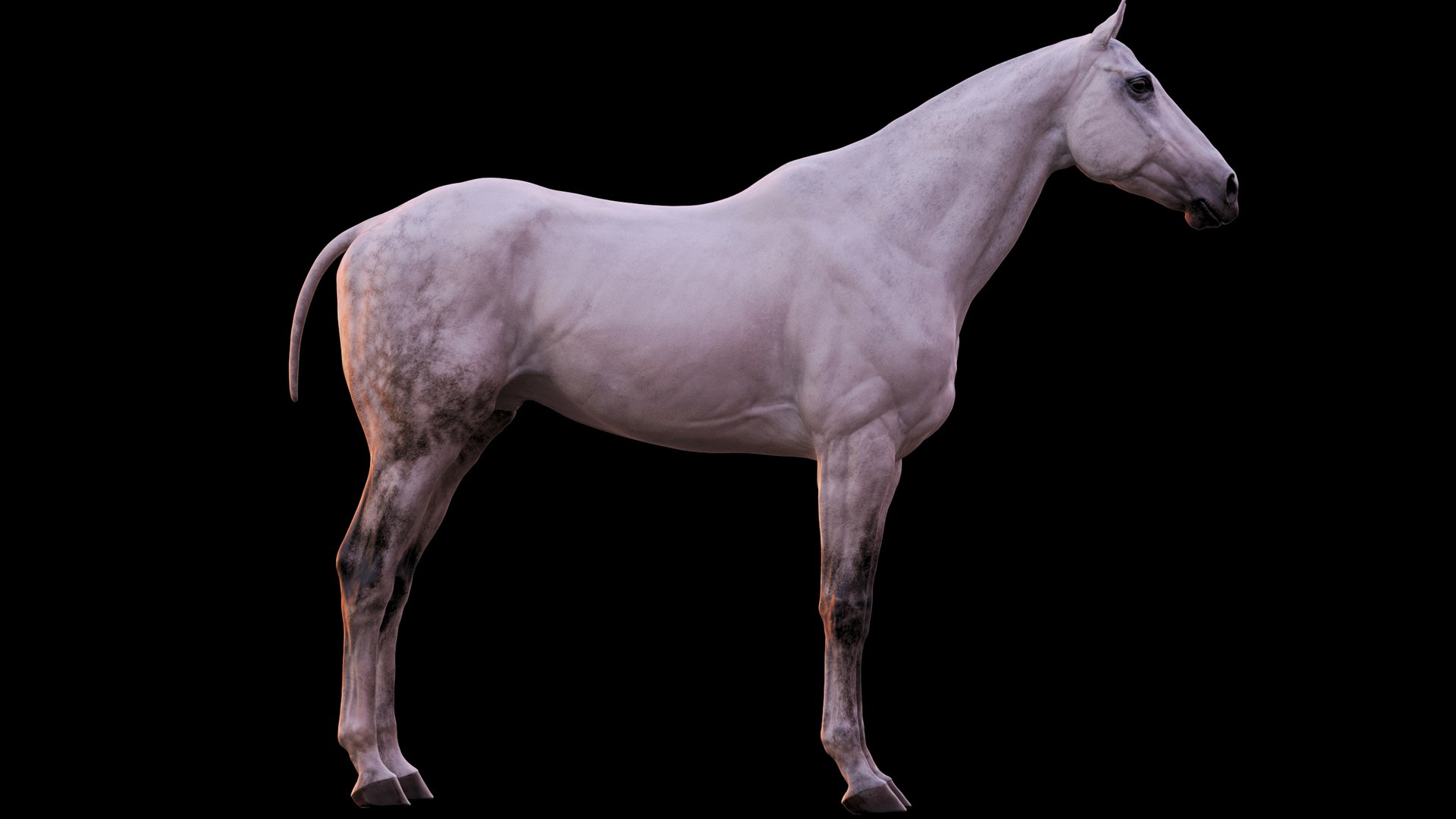 Horse 3 colors ZBrush model https://p.turbosquid.com/ts-thumb/8Z/1pxsgu/1T/111/jpg/1655411824/1920x1080/fit_q87/f51f8a9d56eb042059b11600b9c272ff985dc346/111.jpg
