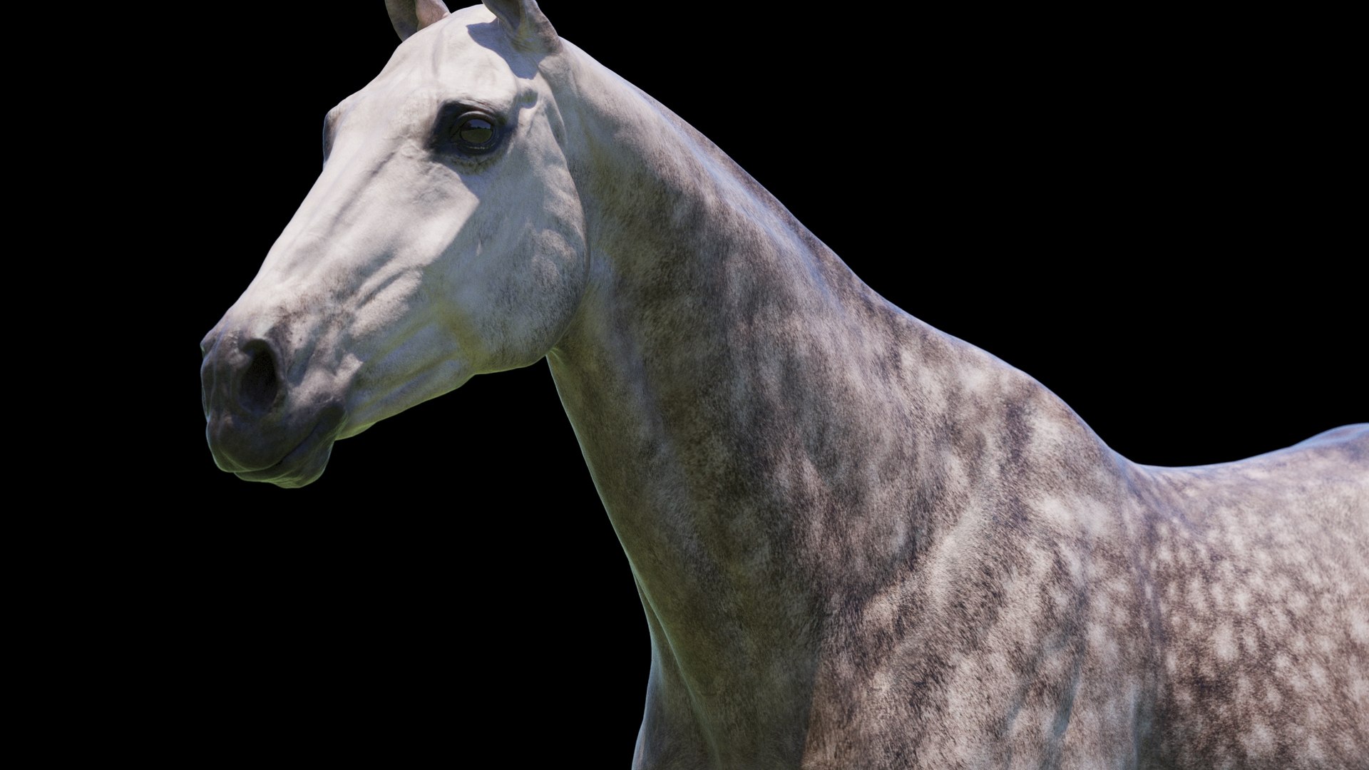 Horse 3 colors ZBrush model https://p.turbosquid.com/ts-thumb/8Z/1pxsgu/55/q15/jpg/1655411683/1920x1080/fit_q87/17aedaea6ef2f4da2eaf7d60d614f77e643f61cf/q15.jpg